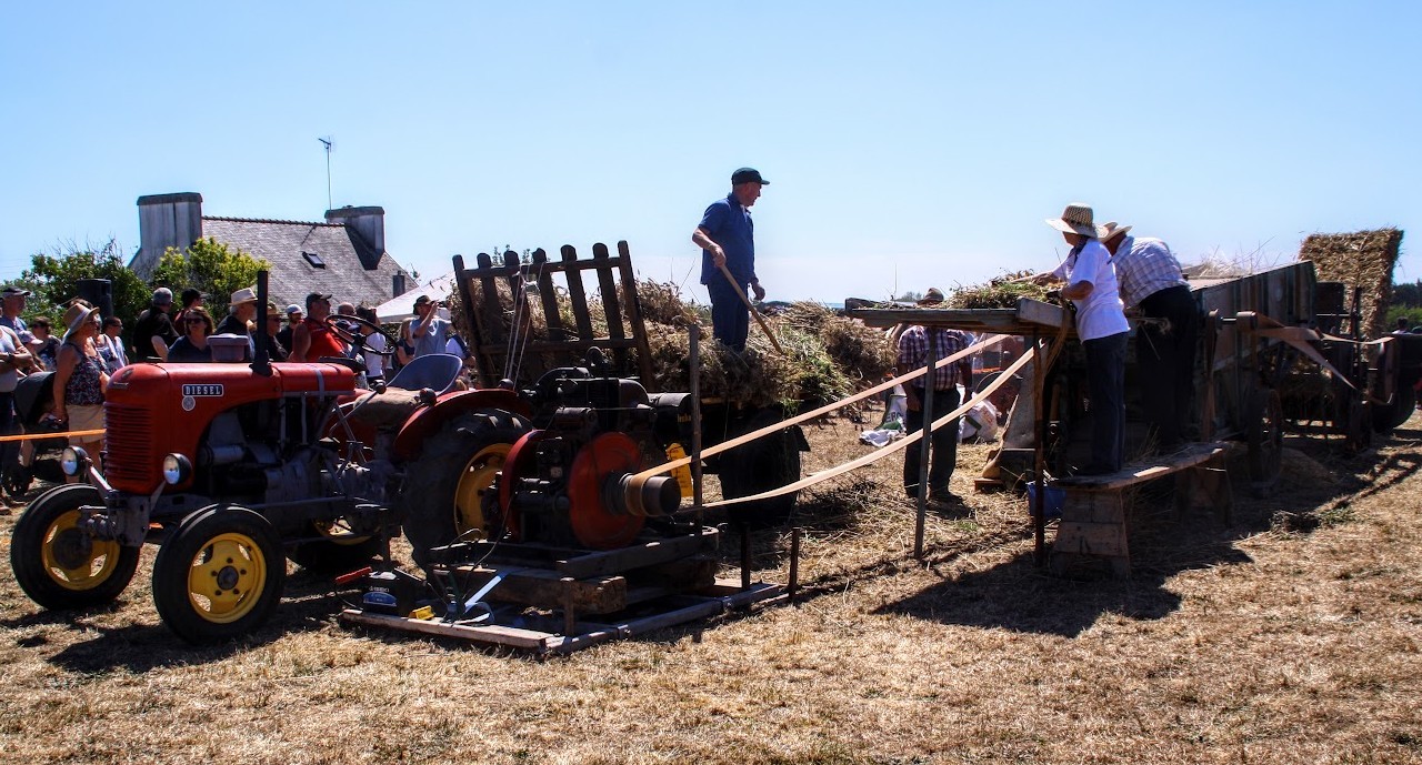 Fête de la moisson